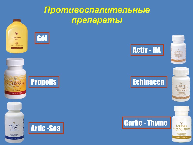 Echinacea Garlic - Thyme Propolis Artic -Sea Gél Activ - HA Противоспалительные  препараты